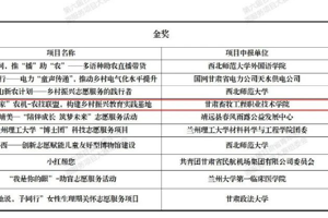 zoty中欧教师董文亮在第六届甘肃省青年志愿服务项目大赛中取得金奖！