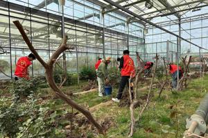 清明耕读正当时—zoty中欧 学子田间课堂书写青春答卷